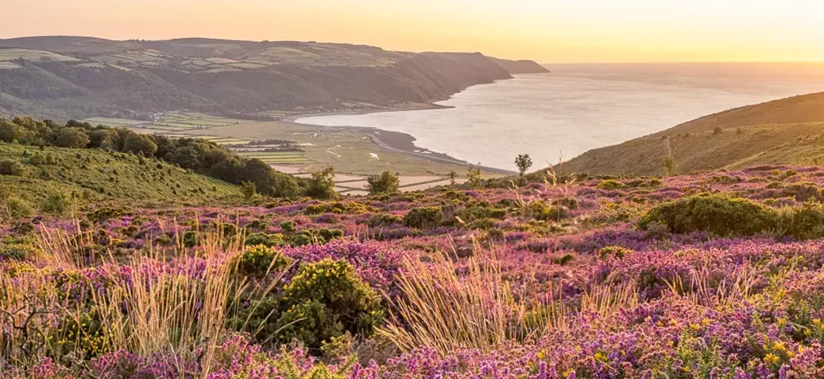 CareMoor for Exmoor